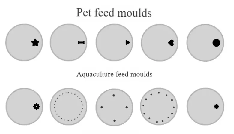 20260204114912 20260204114912